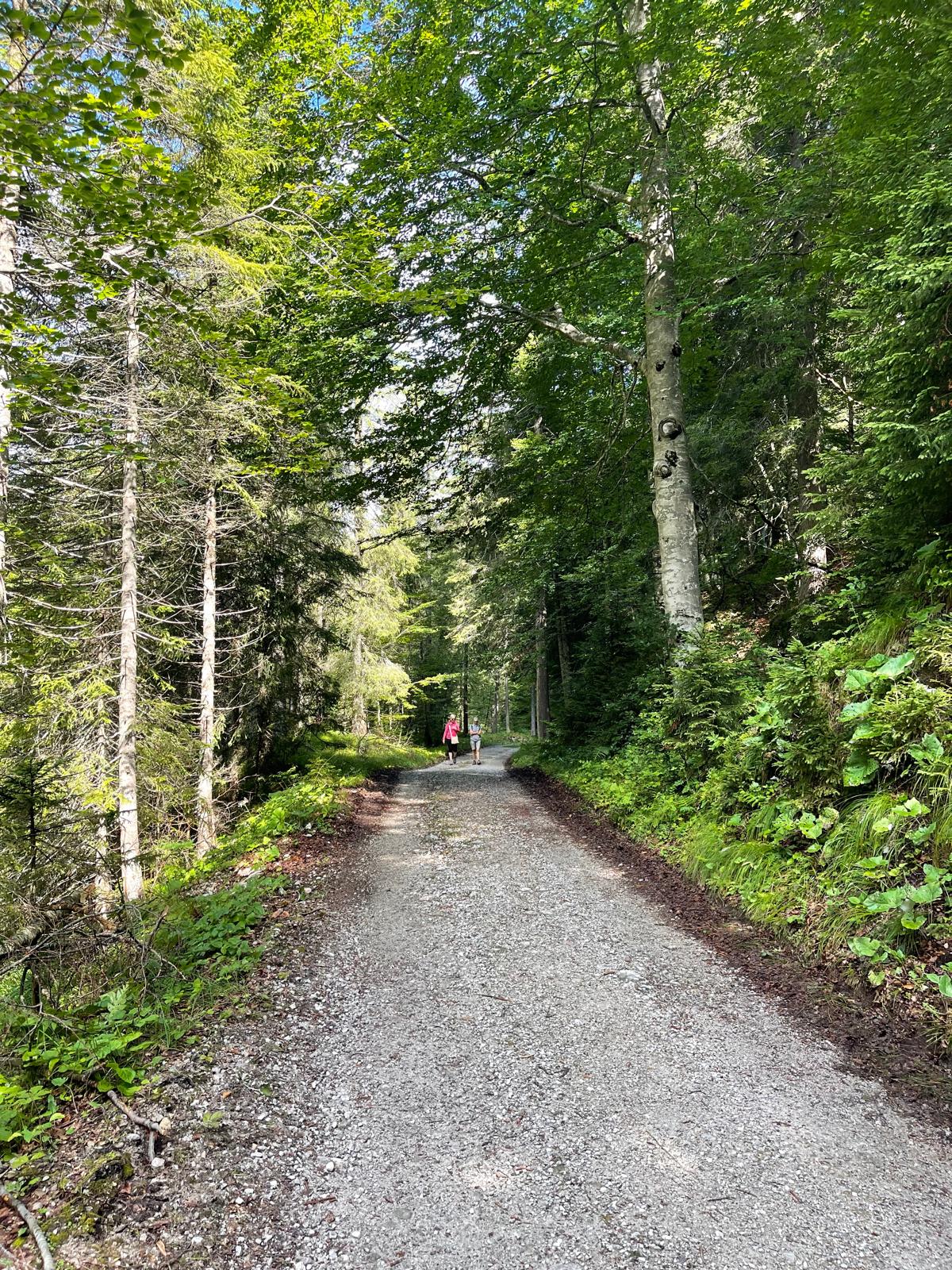 Un sentiero ombreggiato nel bosco vicino a Pinzolo, con due escursionisti