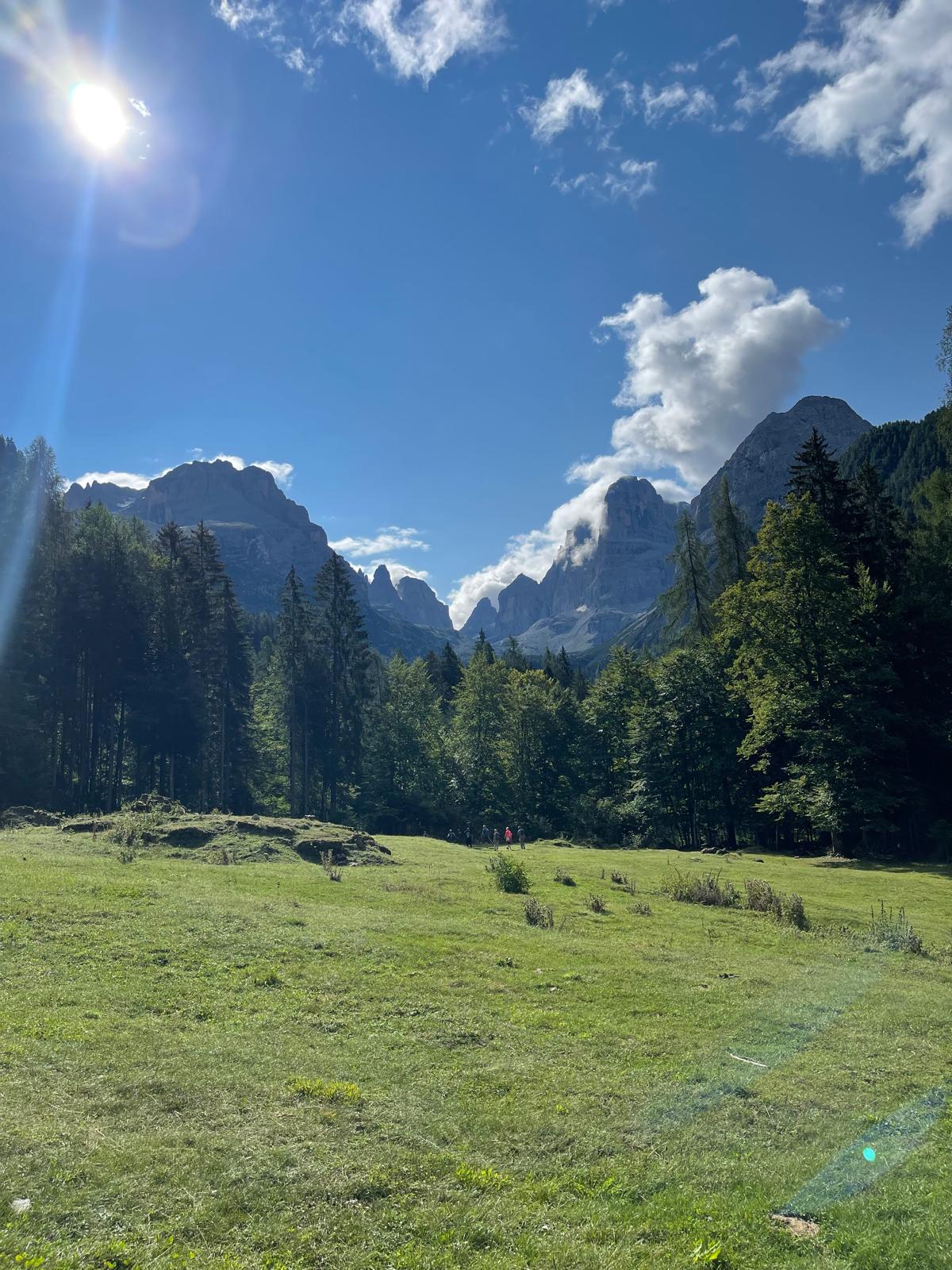 Prato alpino, bosco e le guglie delle Dolomiti di Brenta durante un'escursione estiva vicino a Pinzolo