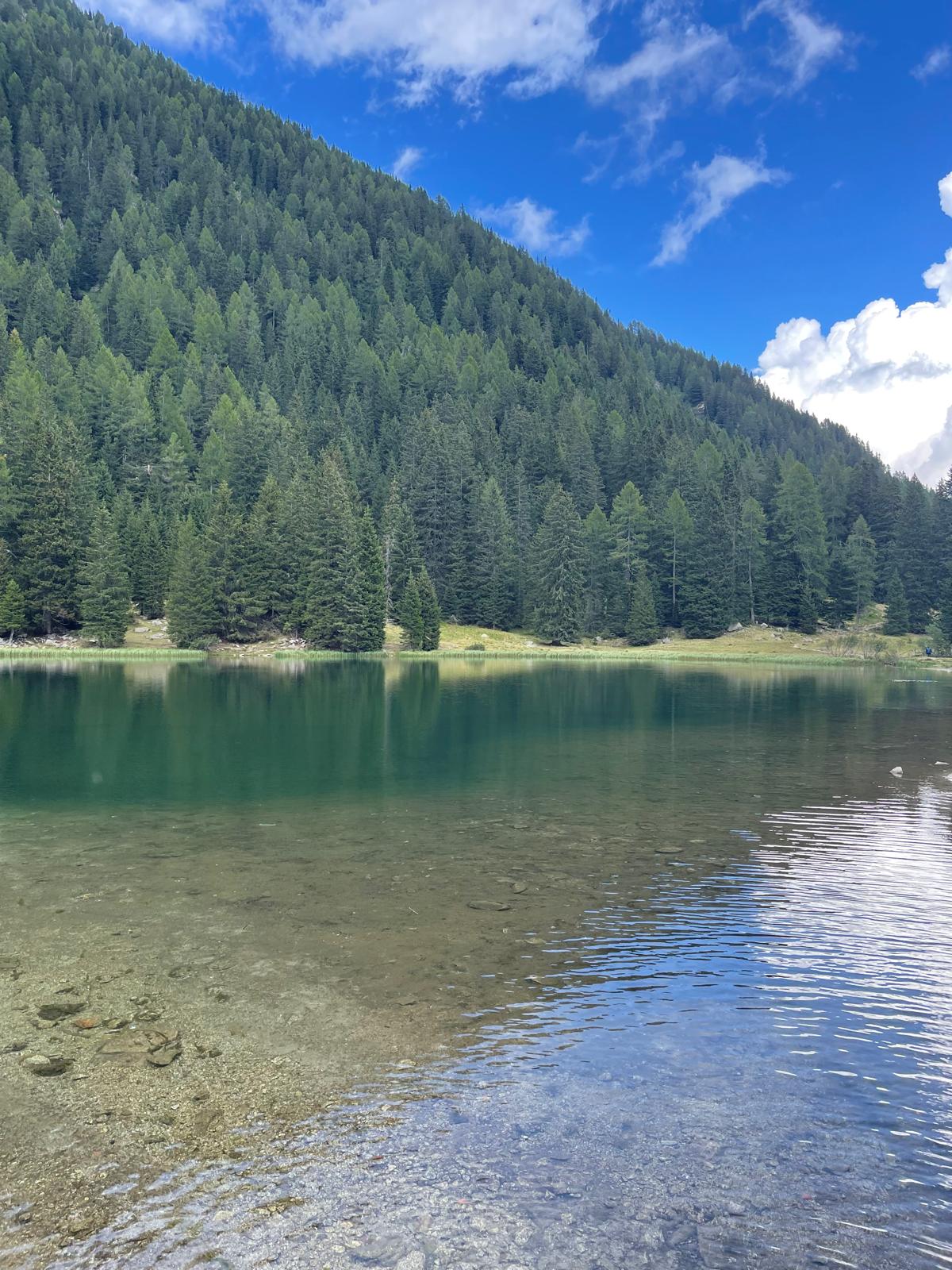 Un limpido lago alpino circondato dal bosco di conifere